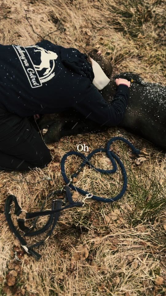 TikTok video thumbnail by hanneelinems