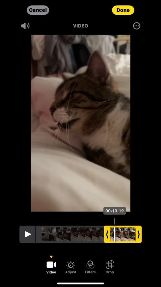 TikTok video thumbnail by surfer2vent