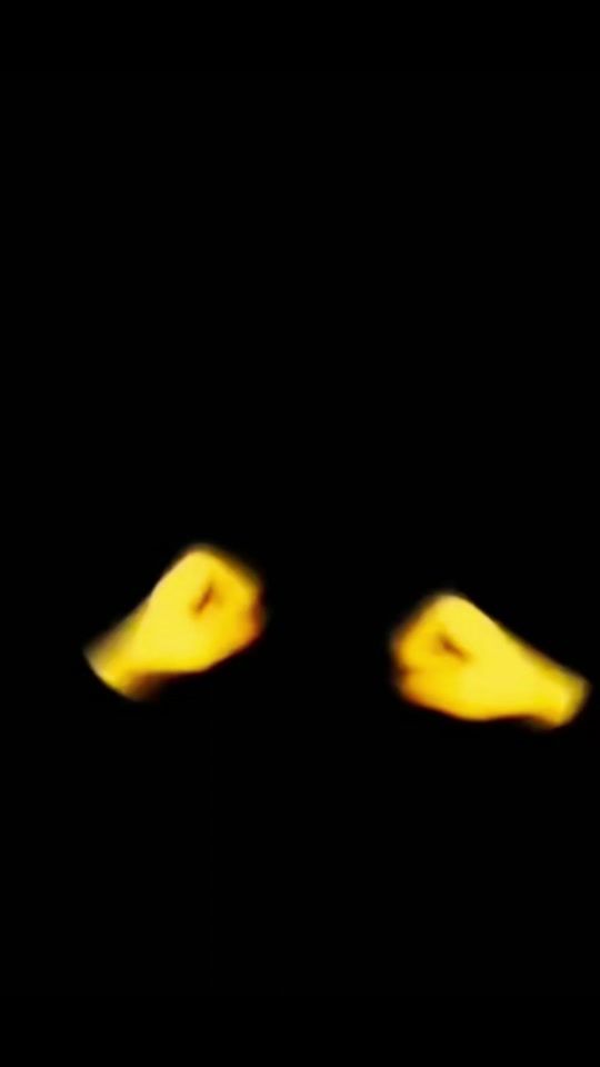 TikTok video thumbnail by artamitodo1