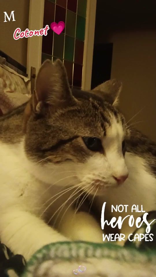TikTok video thumbnail by cleogata13