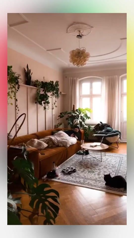 TikTok video thumbnail by room_culture