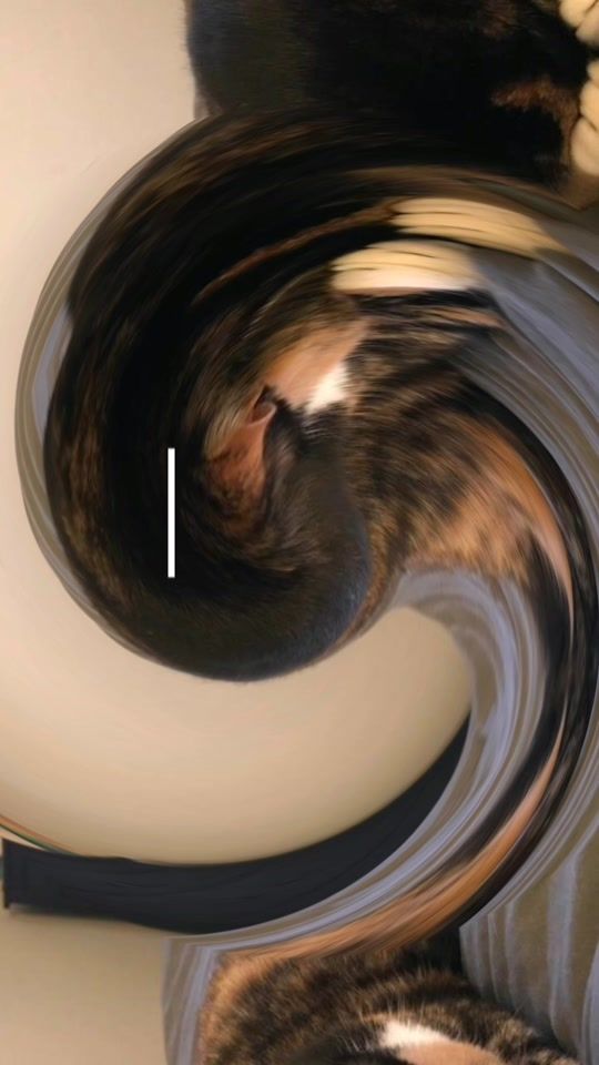TikTok video thumbnail by yoink4real