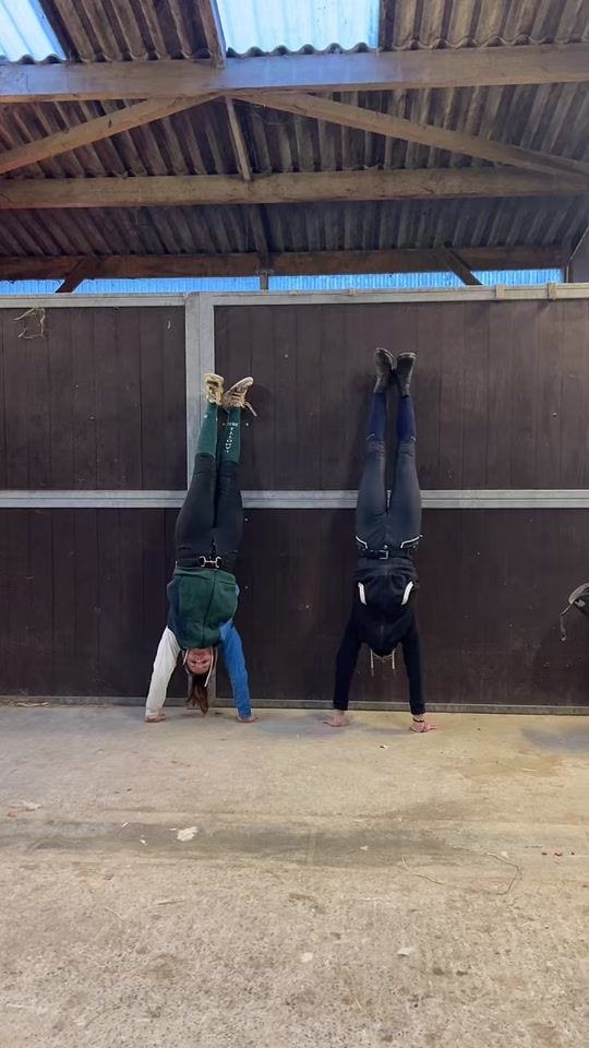TikTok video thumbnail by la_team_pirou