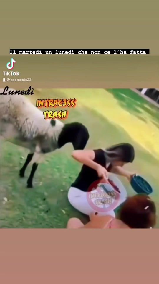 TikTok video thumbnail by paomatrix23
