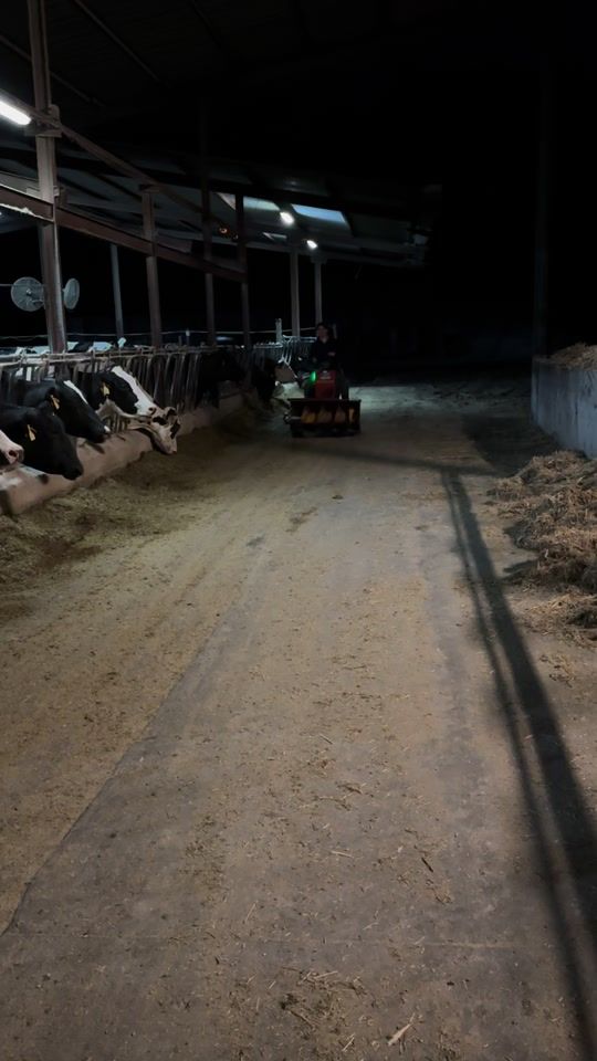 TikTok video thumbnail by cesitartocailes