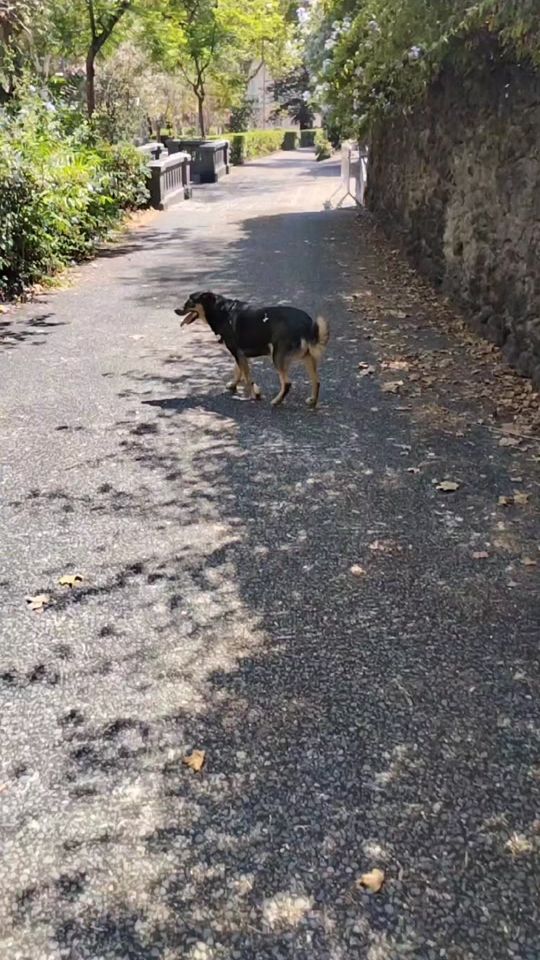 TikTok video thumbnail by santo.caruso5
