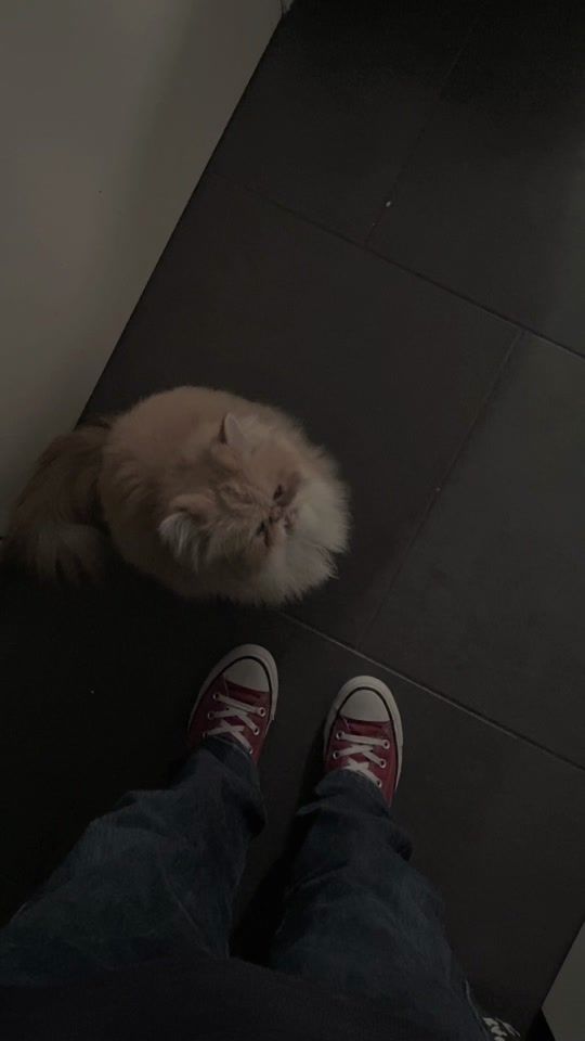 TikTok video thumbnail by _lei.lou_