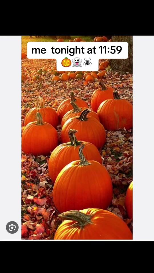 TikTok video thumbnail by christmas.countdown22x