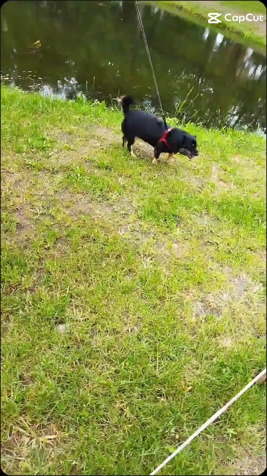 TikTok video thumbnail by roksi4671