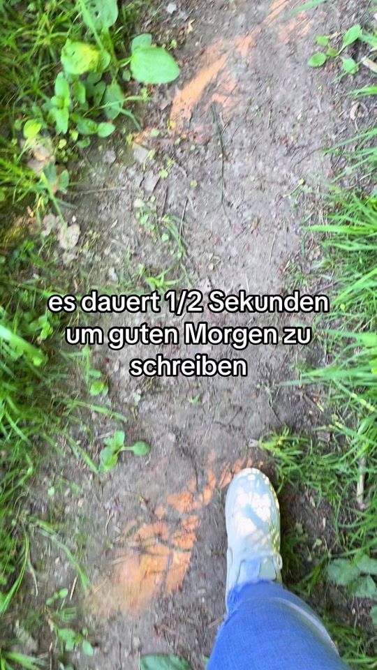 TikTok video thumbnail by steffiengel8