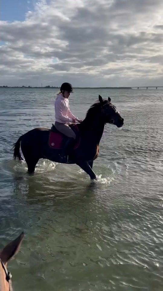 TikTok video thumbnail by janibanani_995