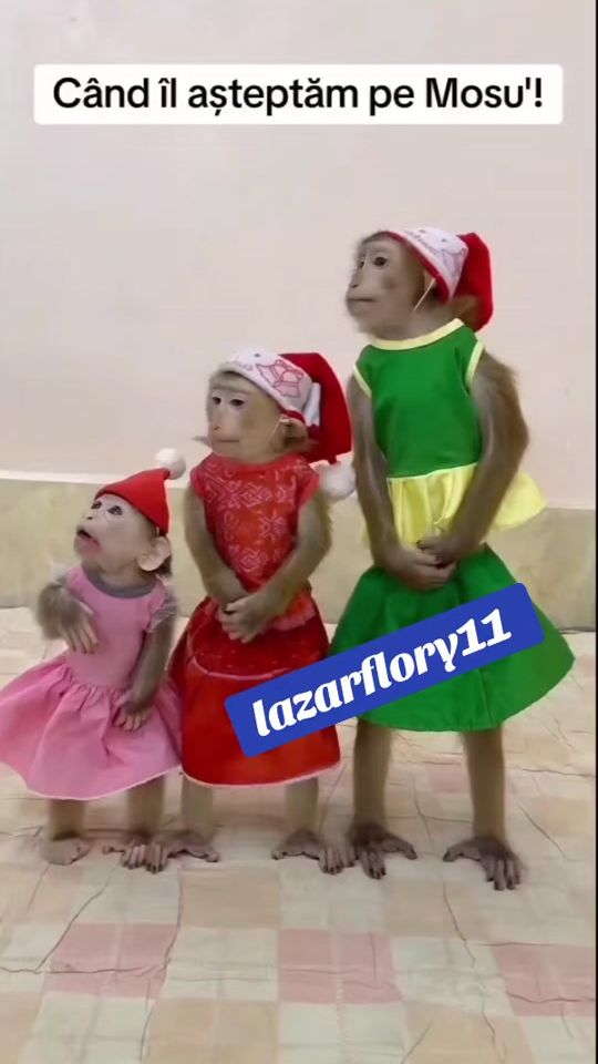 TikTok video thumbnail by lazarflory11