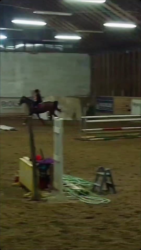 TikTok video thumbnail by _mimi_equestrian_