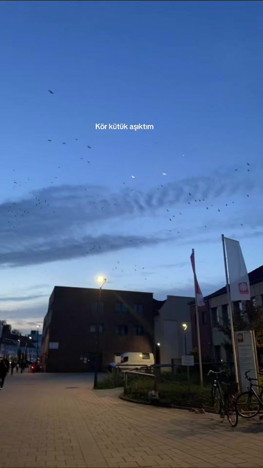 TikTok video thumbnail by 28zerda_