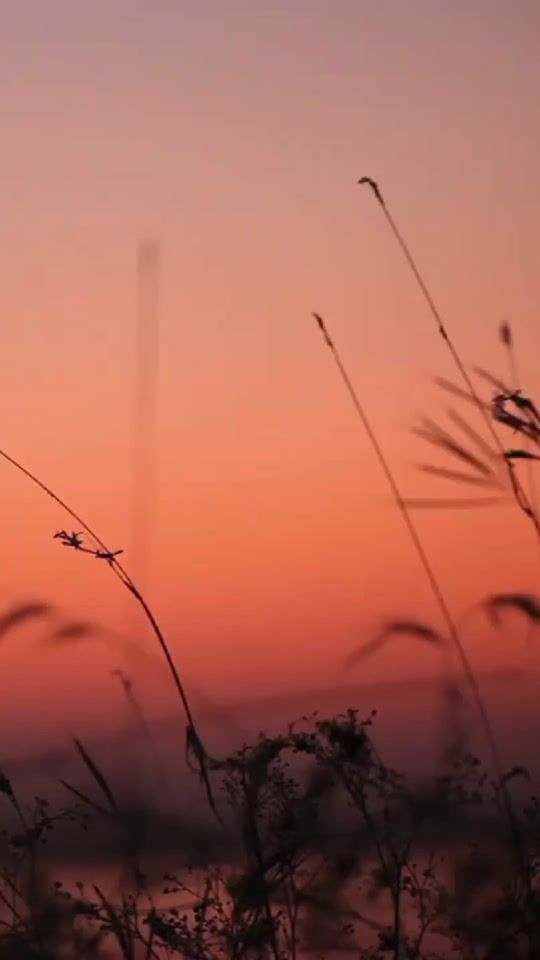 TikTok video thumbnail by thefearlessgirllibrary