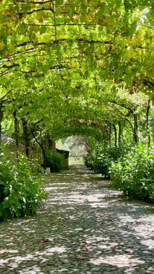 TikTok video thumbnail by babitasantiago36