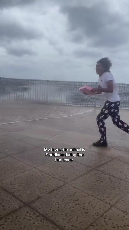 TikTok video thumbnail by vyckaute