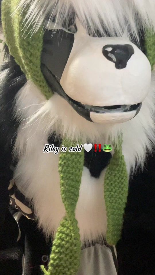TikTok video thumbnail by sugar._.the..floppy..ear