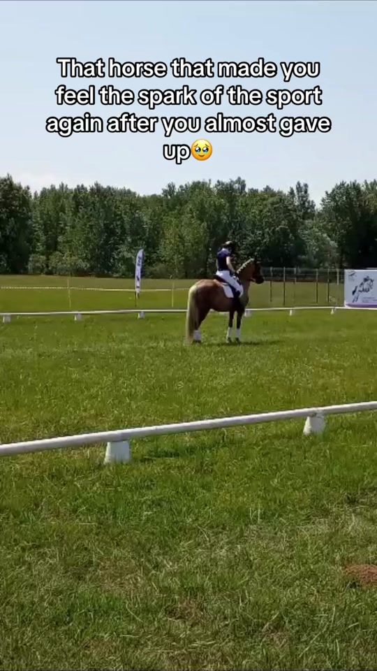 TikTok video thumbnail by sstoicaa