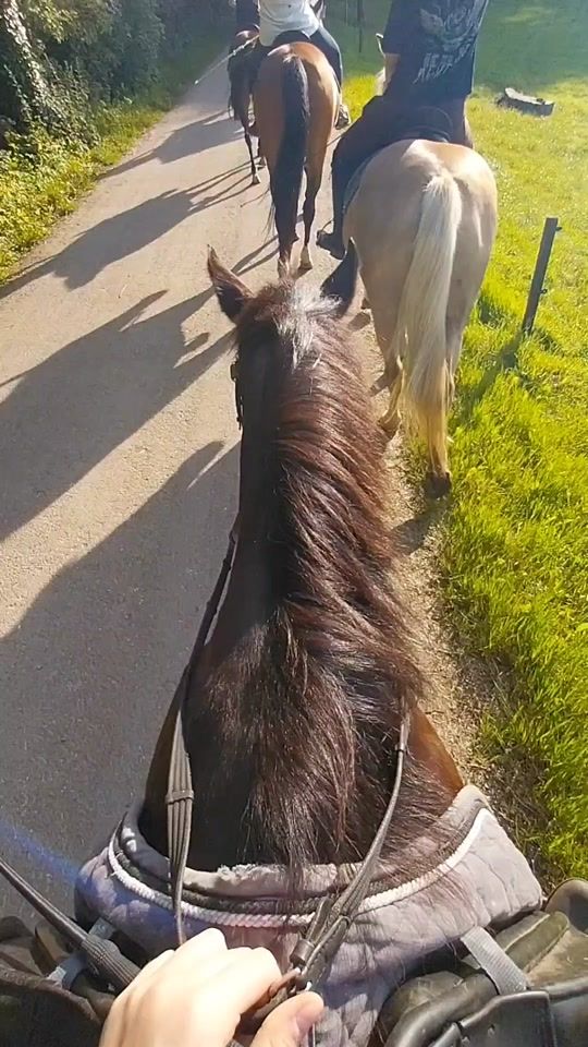 TikTok video thumbnail by equi..maudje