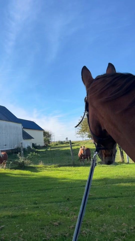 TikTok video thumbnail by malory181073