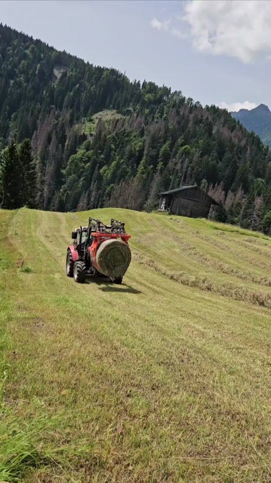 TikTok video thumbnail by s.wolsegger