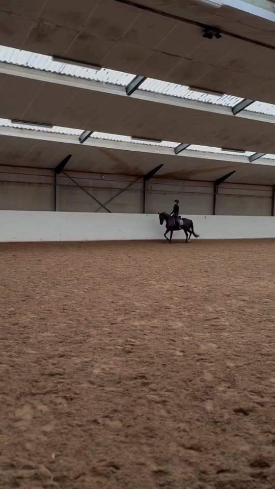 TikTok video thumbnail by svdw.equestrian