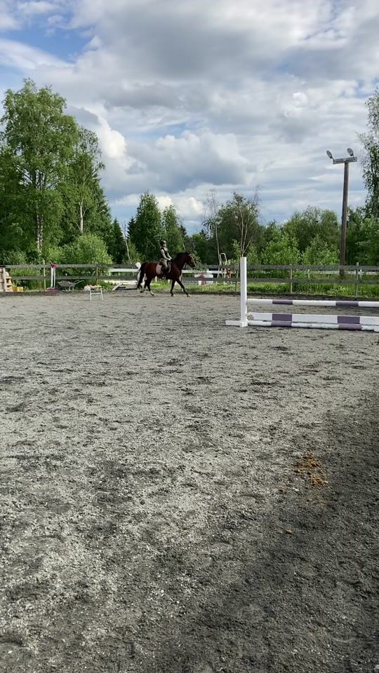 TikTok video thumbnail by eq_victoria1