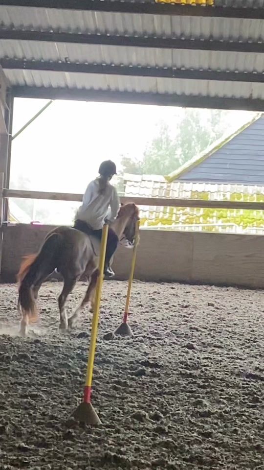 TikTok video thumbnail by forevs..miahh