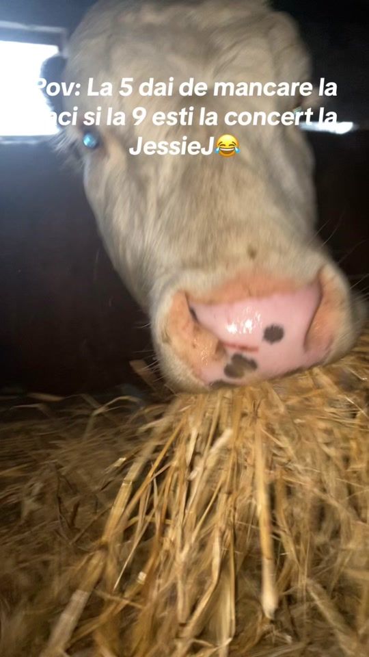 TikTok video thumbnail by danaa2lol