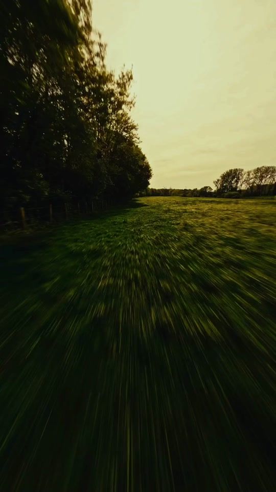 TikTok video thumbnail by lyrical.fusion