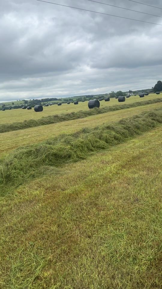 TikTok video thumbnail by harrypotts19