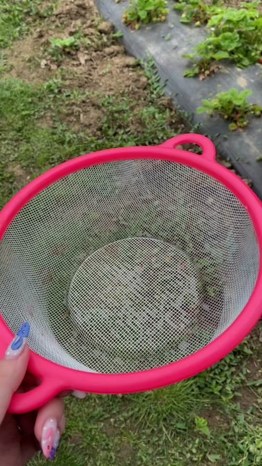 TikTok video thumbnail by adeabrihan