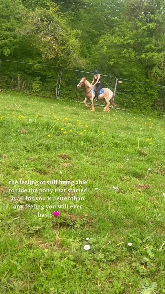 TikTok video thumbnail by l1lygracebutcher
