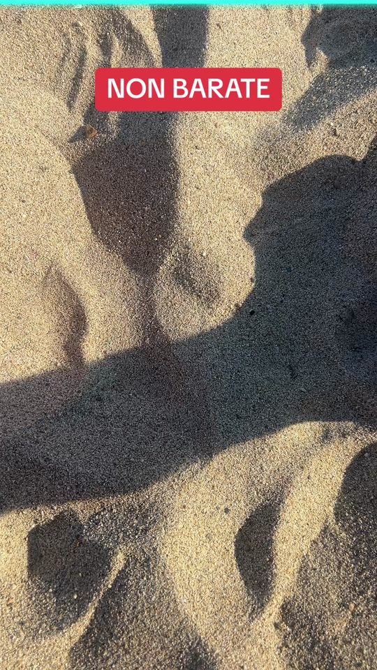 TikTok video thumbnail by serius_io