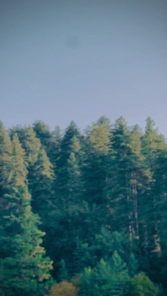 TikTok video thumbnail by haseeb39141