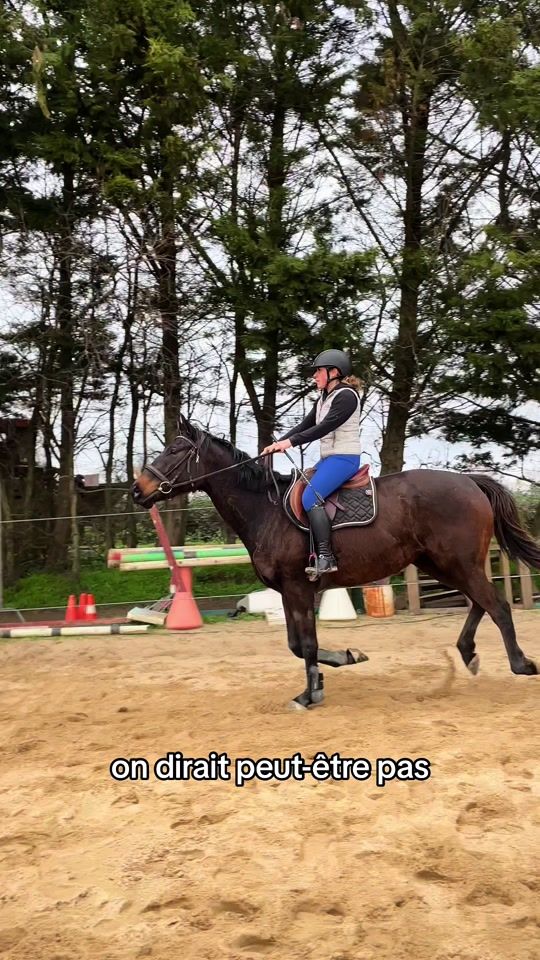 TikTok video thumbnail by ppn_laura