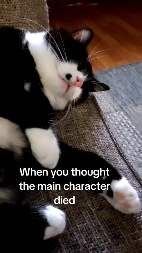 TikTok video thumbnail by armoaisille