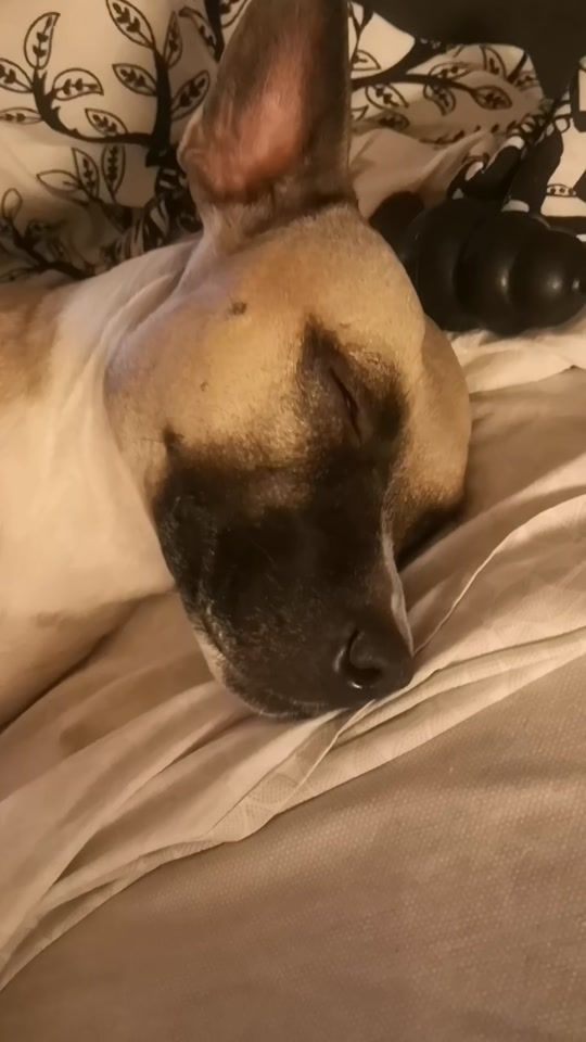 TikTok video thumbnail by eltiti034