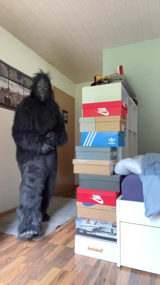 TikTok video thumbnail by gorrilaboy4
