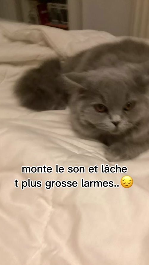 TikTok video thumbnail by skyrow_1