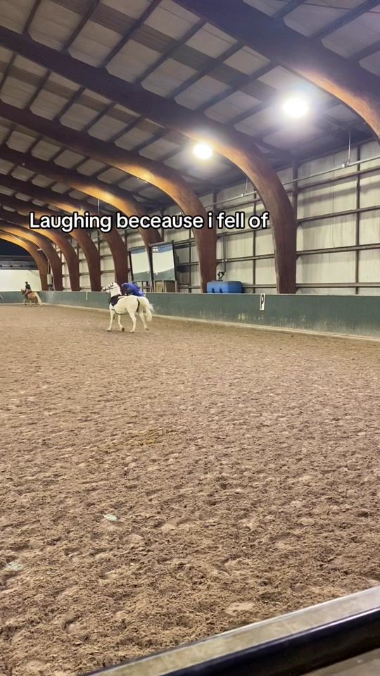 TikTok video thumbnail by equestrian_louise