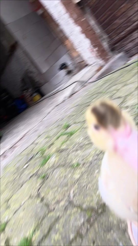 TikTok video thumbnail by aquaman20o0