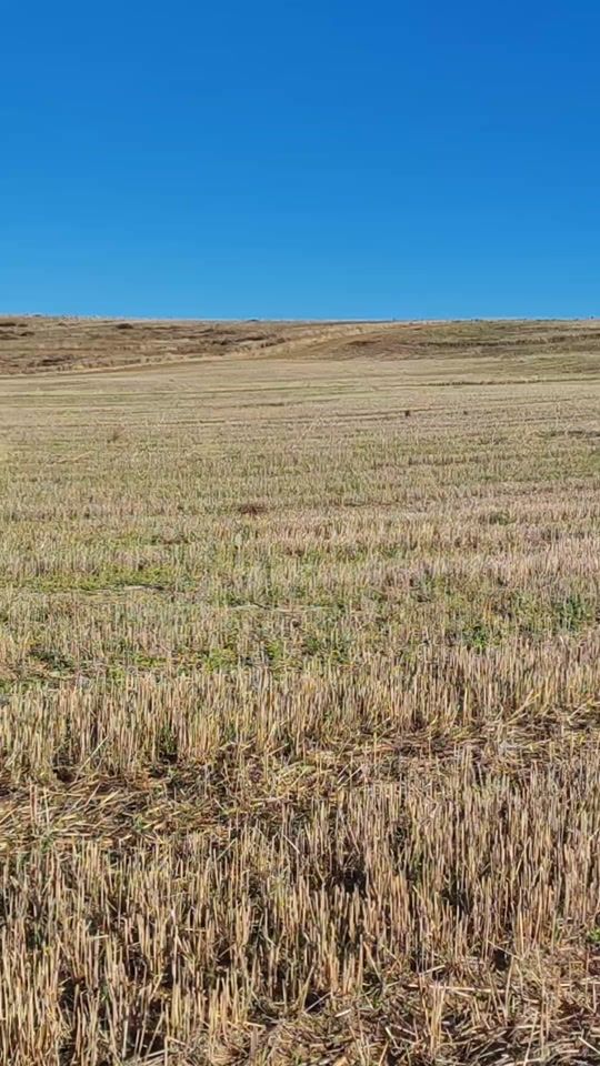 TikTok video thumbnail by nalalamala7