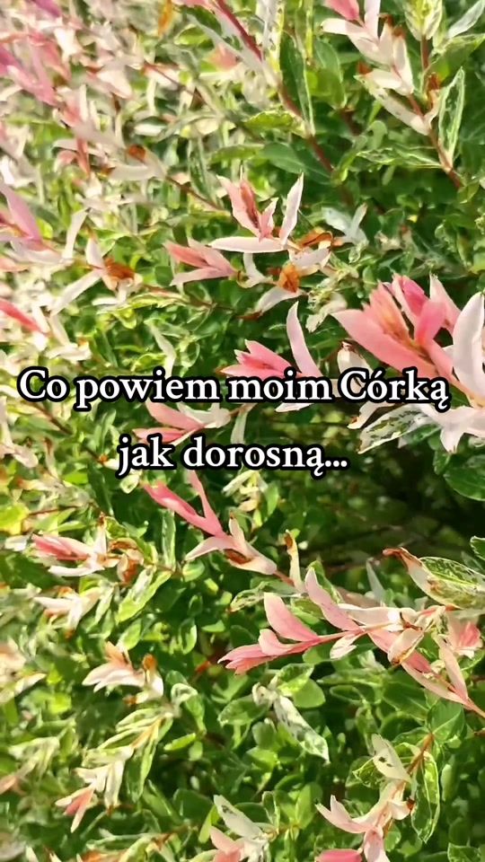 TikTok video thumbnail by edzia88