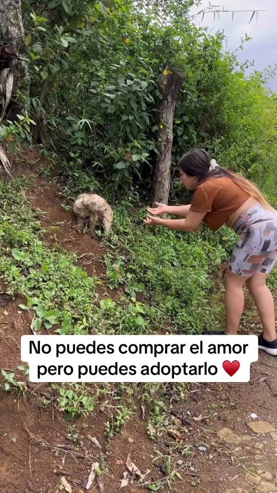 TikTok video thumbnail by alejaayuda