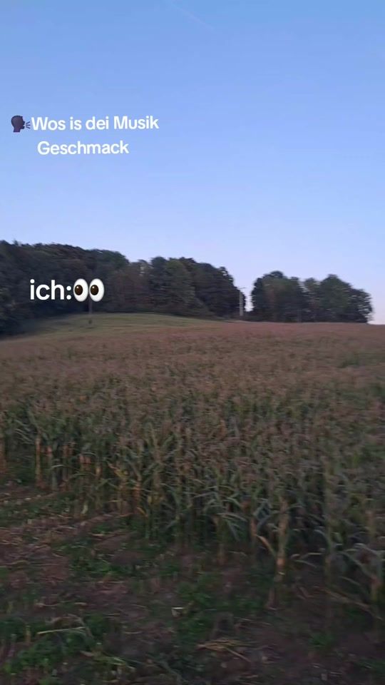 TikTok video thumbnail by da_breinbauer