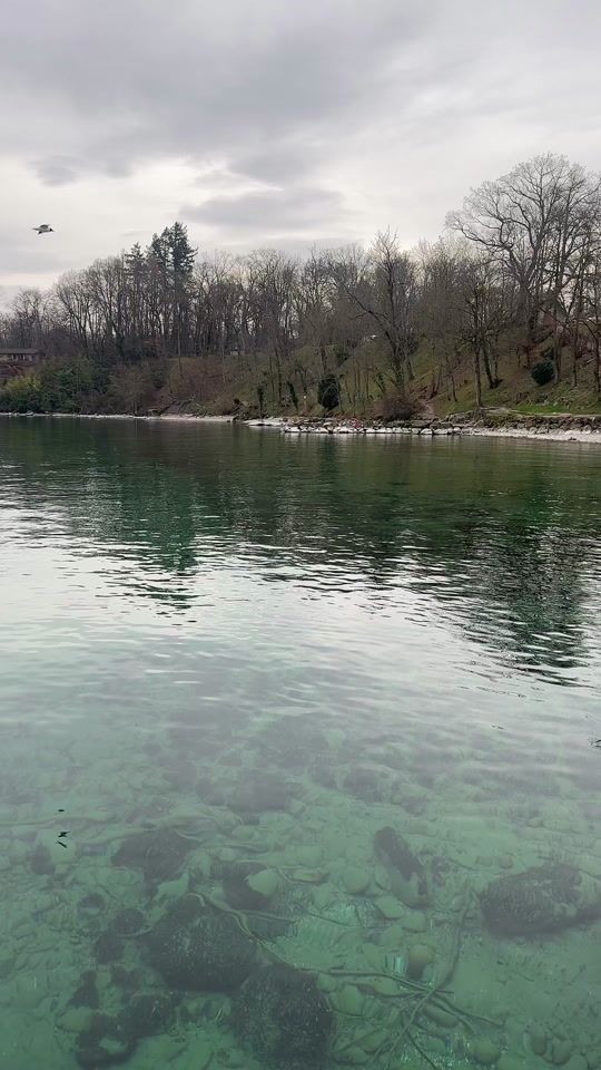 TikTok video thumbnail by flobane4