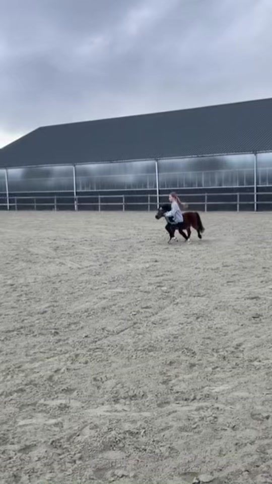 TikTok video thumbnail by equi_valentina4