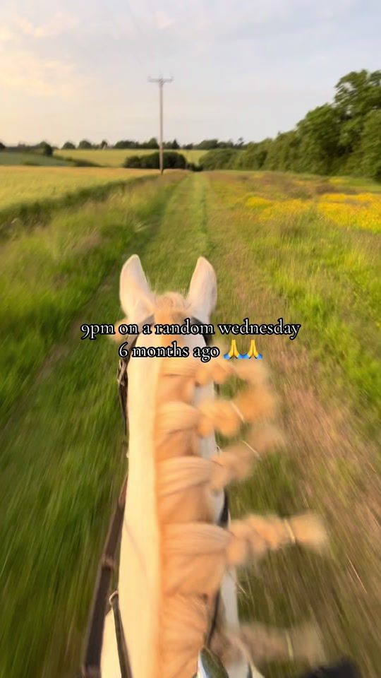 TikTok video thumbnail by mr_hoggle_
